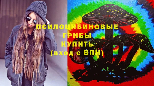 тгк Алексеевка