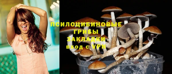 мяу мяу мука Абдулино